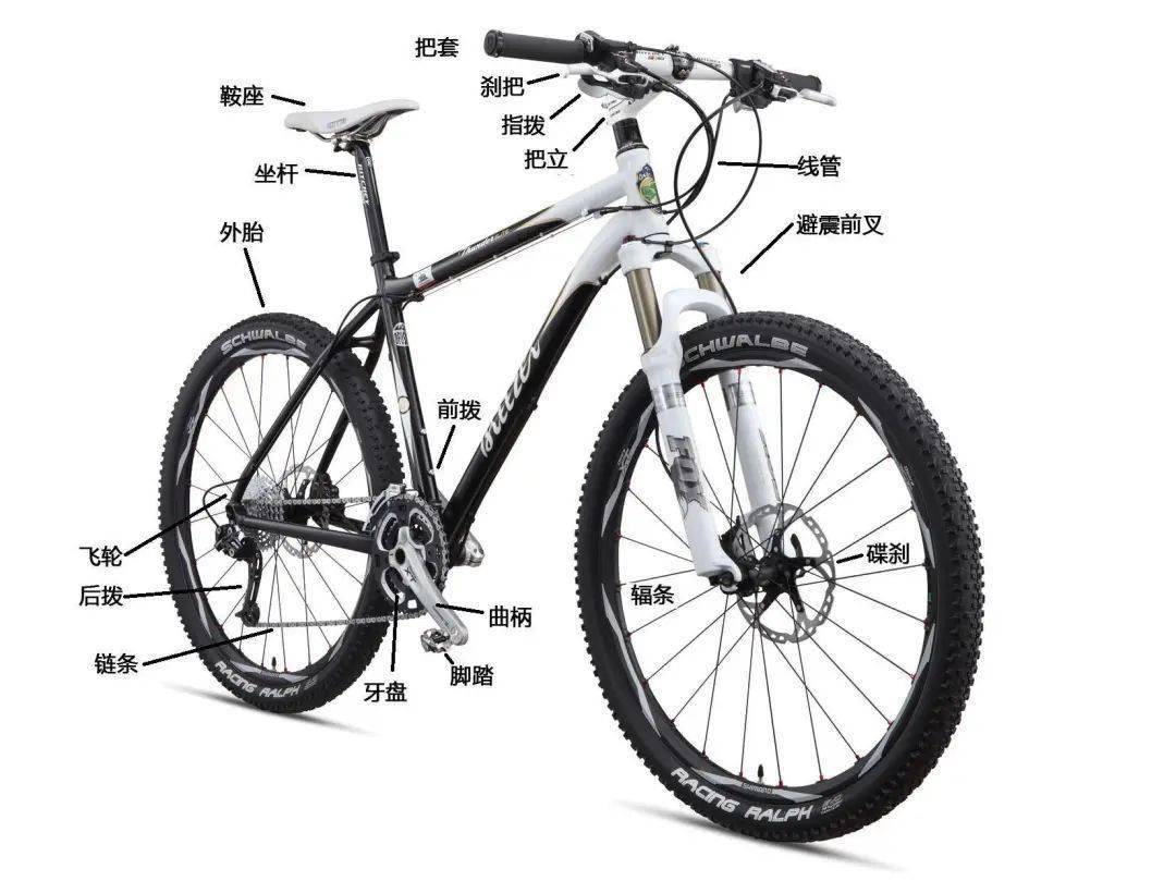 改性尼龍新聞速遞:自行車竟然在歐洲也火了,關(guān)于車身所用的塑料材質(zhì)你了解么?